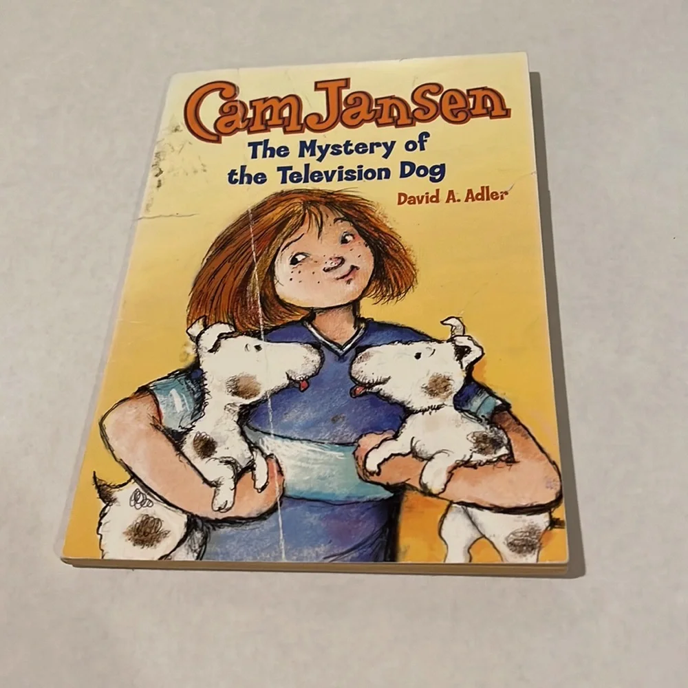 children books - series Junie B Jones Judy Blume Boxcar children Beverly Cleary